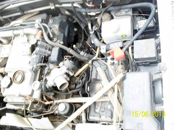  Mitsubishi MONTERO 2006    EN DESARME